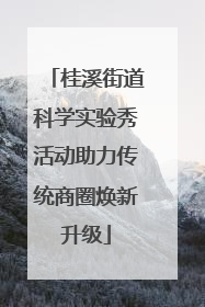 桂溪街道科学实验秀活动助力传统商圈焕新升级