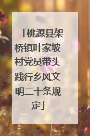 桃源县架桥镇叶家坡村党员带头践行乡风文明二十条规定
