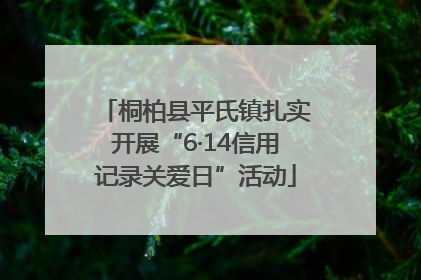 桐柏县平氏镇扎实开展“6·14信用记录关爱日”活动