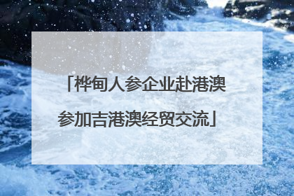 桦甸人参企业赴港澳参加吉港澳经贸交流