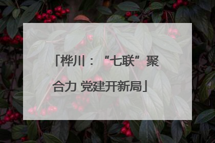 桦川：“七联”聚合力 党建开新局
