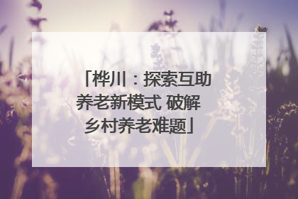 桦川：探索互助养老新模式 破解乡村养老难题