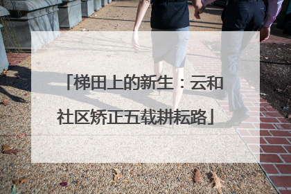 梯田上的新生：云和社区矫正五载耕耘路