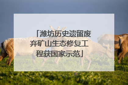 潍坊历史遗留废弃矿山生态修复工程获国家示范