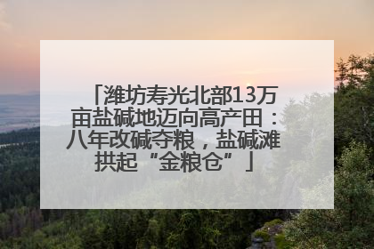潍坊寿光北部13万亩盐碱地迈向高产田：八年改碱夺粮，盐碱滩拱起“金粮仓”