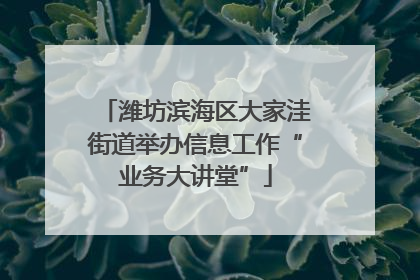 潍坊滨海区大家洼街道举办信息工作“业务大讲堂”