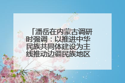 潘岳在内蒙古调研时强调：以推进中华民族共同体建设为主线推动边疆民族地区高质量发展