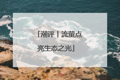 潮评丨流萤点亮生态之光