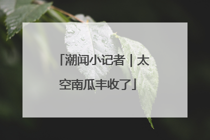 潮闻小记者｜太空南瓜丰收了