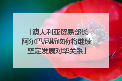 澳大利亚贸易部长：阿尔巴尼斯政府将继续坚定发展对华关系