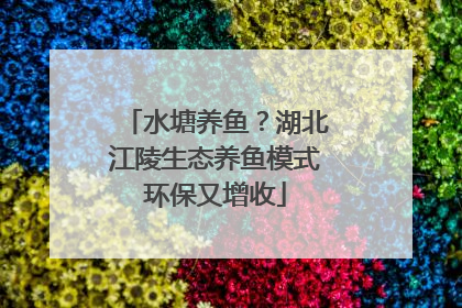 水塘养鱼？湖北江陵生态养鱼模式环保又增收