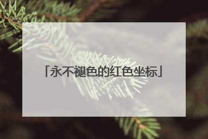 永不褪色的红色坐标