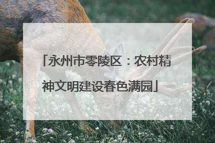 永州市零陵区：农村精神文明建设春色满园