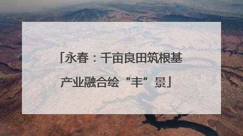 永春：千亩良田筑根基 产业融合绘“丰”景