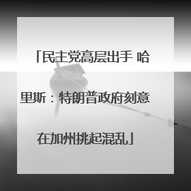 民主党高层出手 哈里斯：特朗普政府刻意在加州挑起混乱