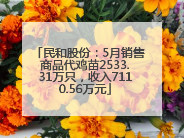 民和股份：5月销售商品代鸡苗2533.31万只，收入7110.56万元