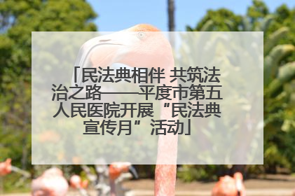 民法典相伴 共筑法治之路——平度市第五人民医院开展“民法典宣传月”活动