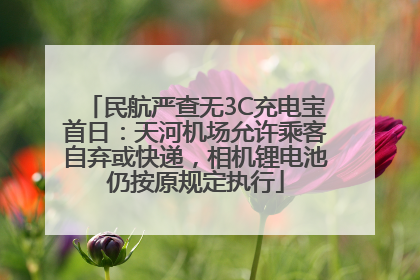 民航严查无3C充电宝首日：天河机场允许乘客自弃或快递，相机锂电池仍按原规定执行