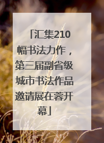 汇集210幅书法力作，第三届副省级城市书法作品邀请展在蓉开幕