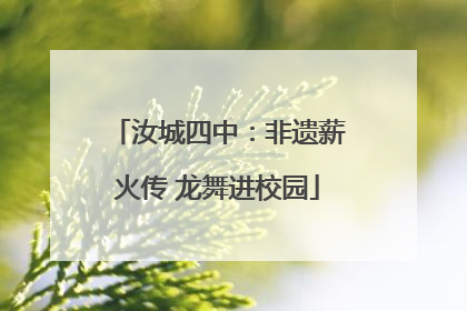 汝城四中：非遗薪火传 龙舞进校园