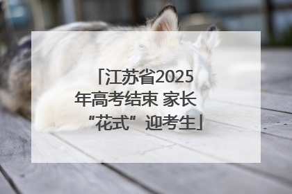 江苏省2025年高考结束 家长“花式”迎考生