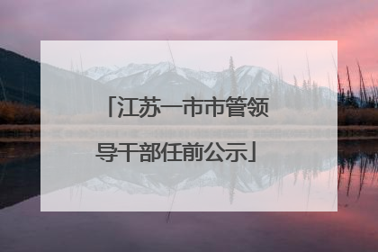 江苏一市市管领导干部任前公示