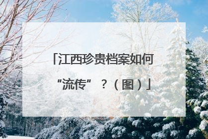 江西珍贵档案如何“流传”？（图）
