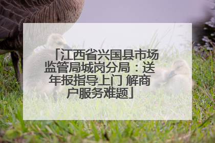 江西省兴国县市场监管局城岗分局：送年报指导上门 解商户服务难题