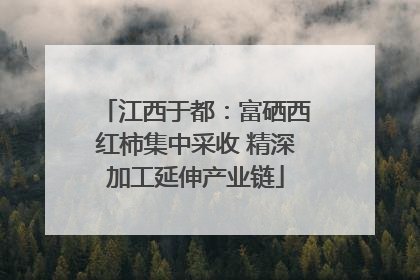 江西于都：富硒西红柿集中采收 精深加工延伸产业链