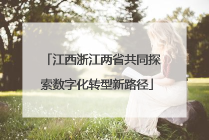 江西浙江两省共同探索数字化转型新路径