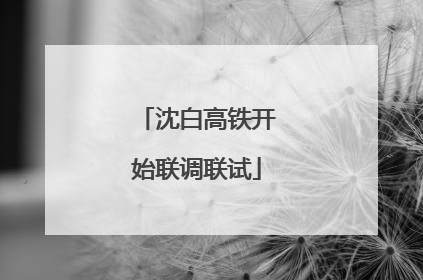 沈白高铁开始联调联试