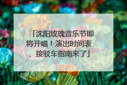 沈阳玫瑰音乐节即将开唱！演出时间表、接驳车指南来了