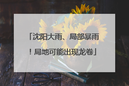 沈阳大雨、局部暴雨！局地可能出现龙卷