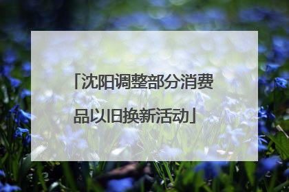 沈阳调整部分消费品以旧换新活动