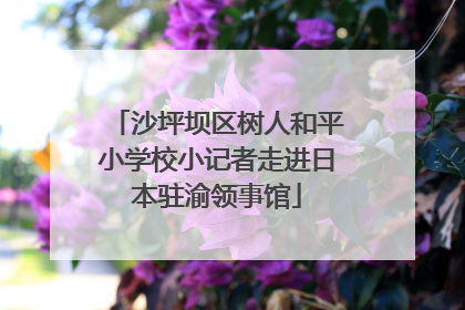 沙坪坝区树人和平小学校小记者走进日本驻渝领事馆