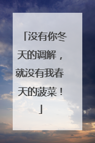 没有你冬天的调解，就没有我春天的菠菜！