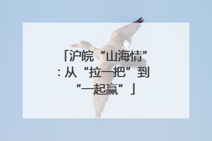 沪皖“山海情”：从“拉一把”到“一起赢”