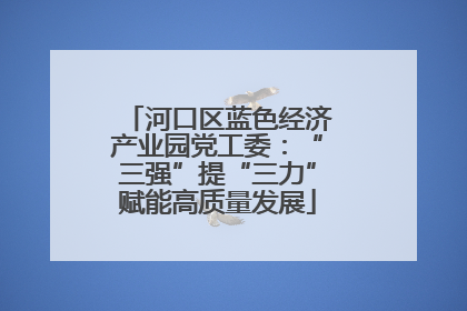 河口区蓝色经济产业园党工委：“三强”提“三力”赋能高质量发展