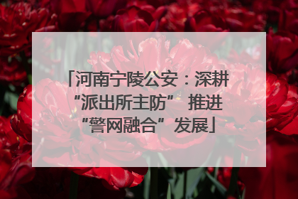 河南宁陵公安：深耕“派出所主防” 推进“警网融合”发展