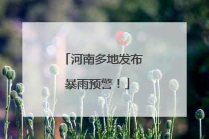 河南多地发布暴雨预警！