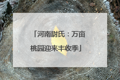 河南尉氏：万亩桃园迎来丰收季