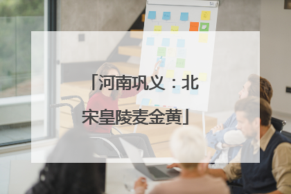 河南巩义：北宋皇陵麦金黄