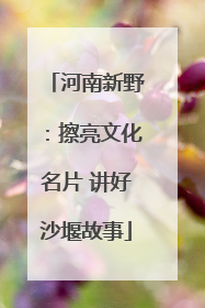 河南新野：擦亮文化名片 讲好沙堰故事