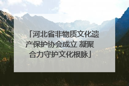 河北省非物质文化遗产保护协会成立 凝聚合力守护文化根脉