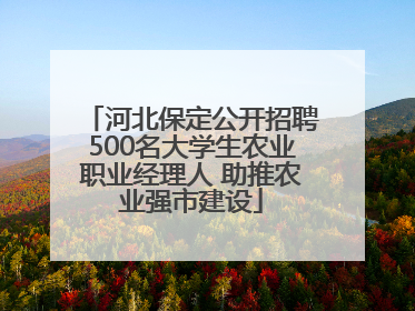 河北保定公开招聘500名大学生农业职业经理人 助推农业强市建设