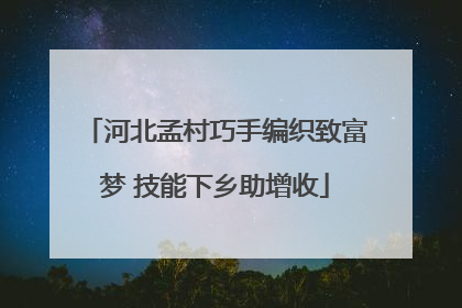 河北孟村巧手编织致富梦 技能下乡助增收