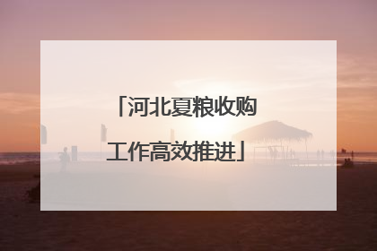 河北夏粮收购工作高效推进