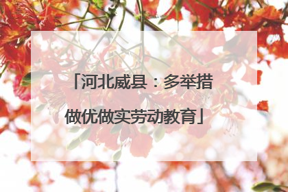 河北威县：多举措做优做实劳动教育
