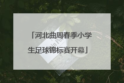 河北曲周春季小学生足球锦标赛开幕