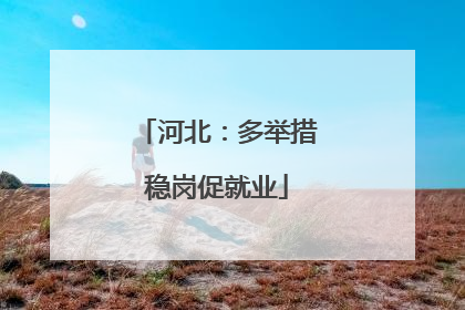 河北：多举措稳岗促就业